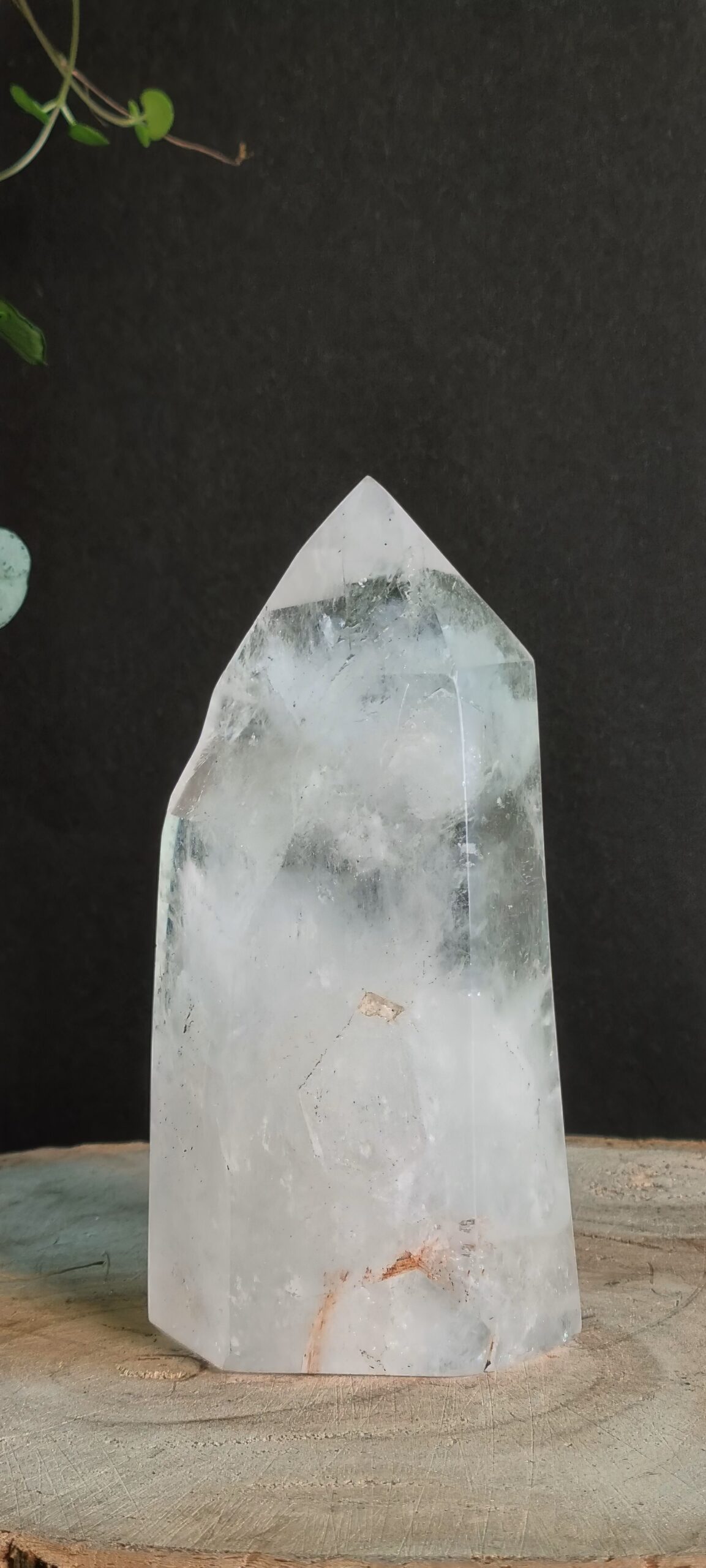 20240911_105417-topaz-sharpen-denoise-lighting