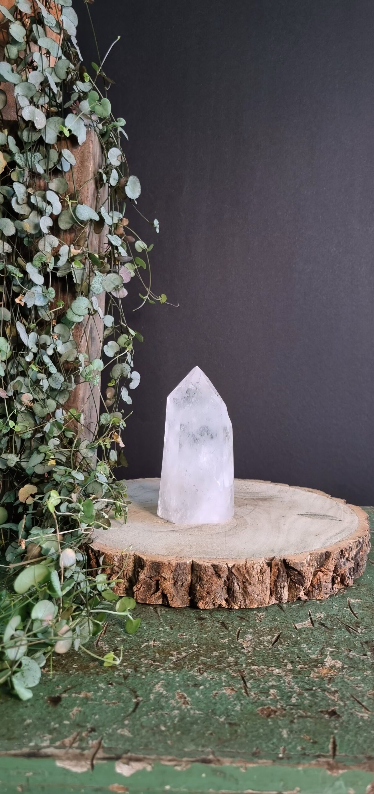 20240911_105426-topaz-denoise-sharpen-lighting bijgeknipt