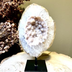 Druzy rots agaat op zwarte voet