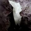 XXL Amethist vleugel op standaard - Thumbnail Image 2