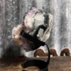 Amethist golden healer - Thumbnail Image 2