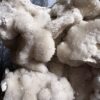 Calciet druzy op stalen voet - Thumbnail Image 3